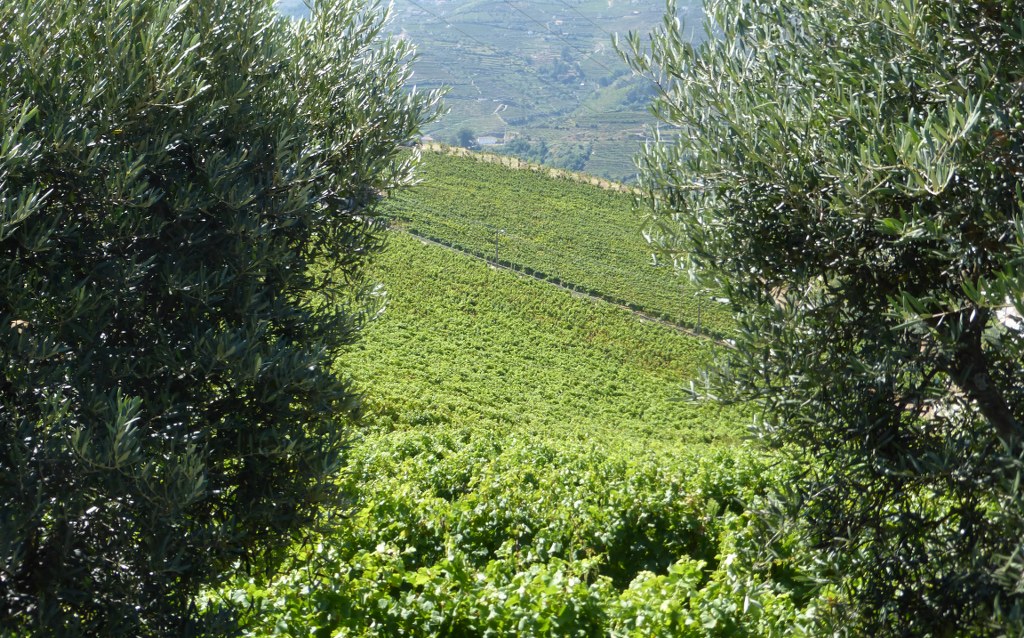 Farm